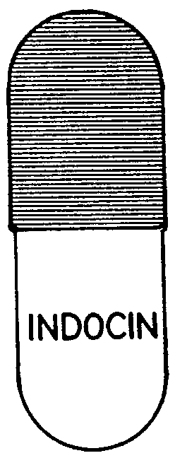 Trademark Logo INDOCIN