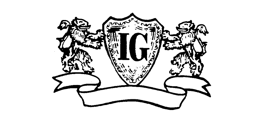 Trademark Logo IG