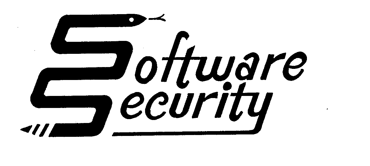  SOFTWARE SECURITY