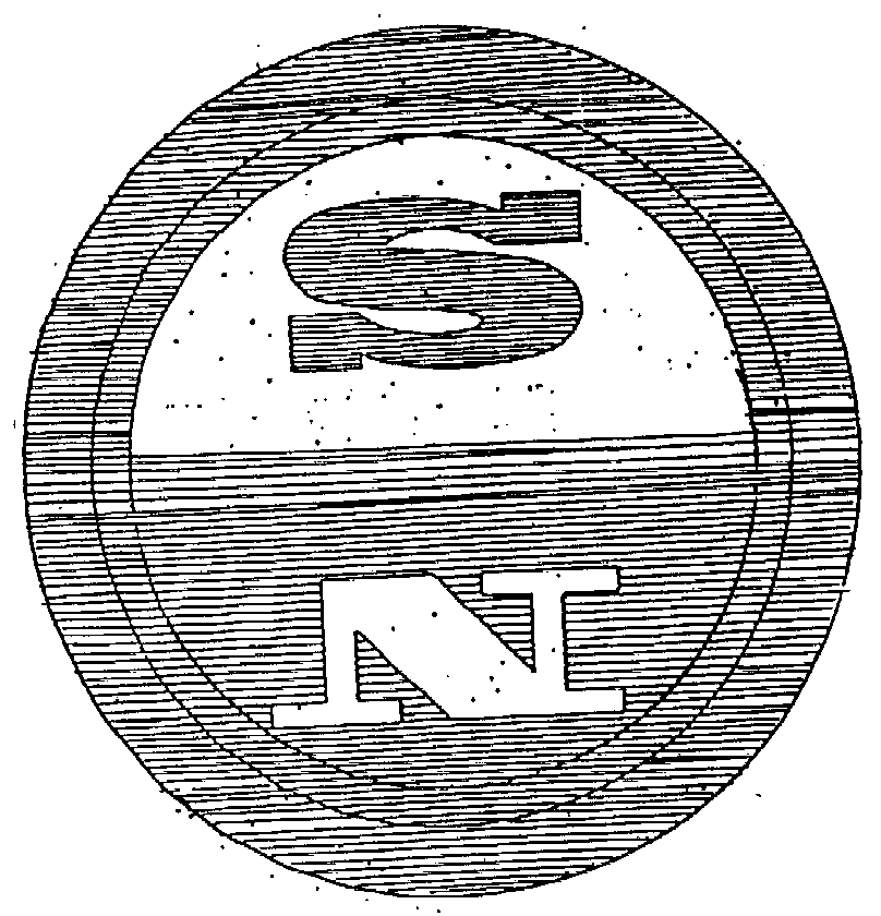 Trademark Logo N S