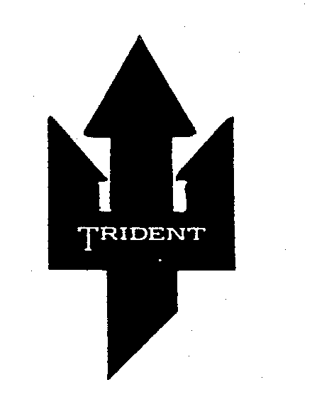 Trademark Logo TRIDENT