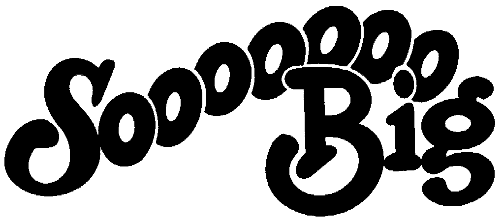 Trademark Logo SOOOOOOO BIG