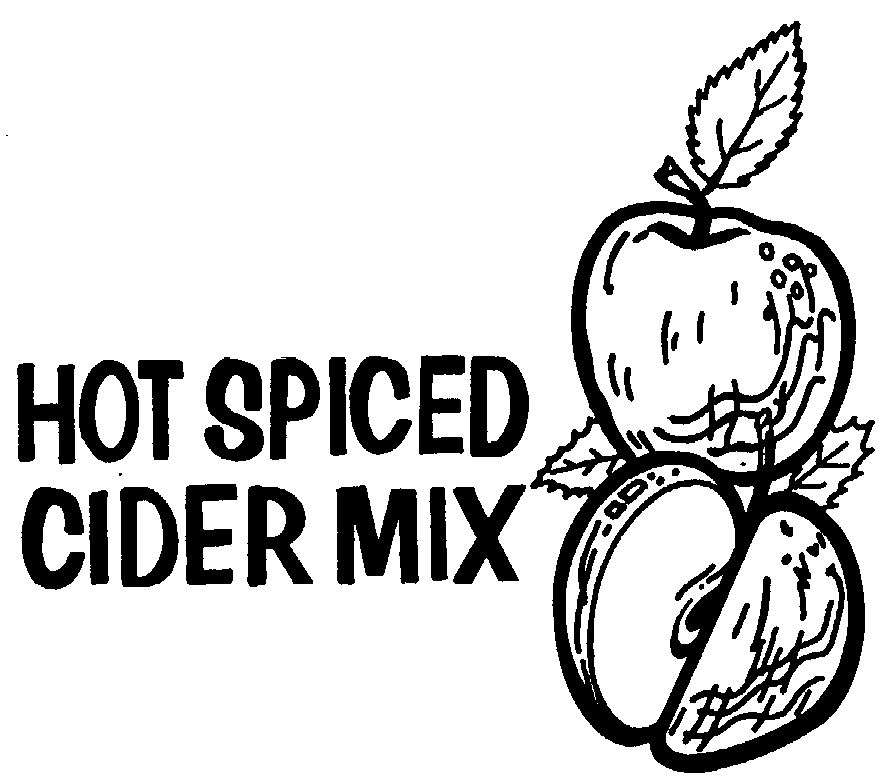  HOT SPICED CIDER MIX