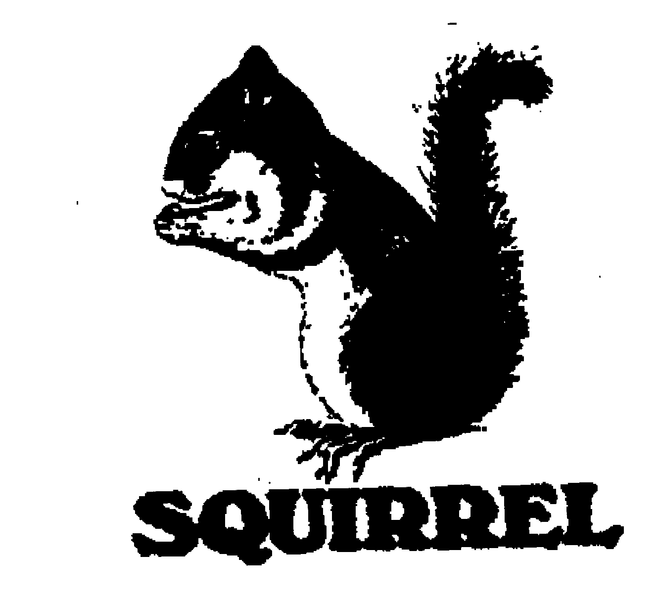 SQUIRREL