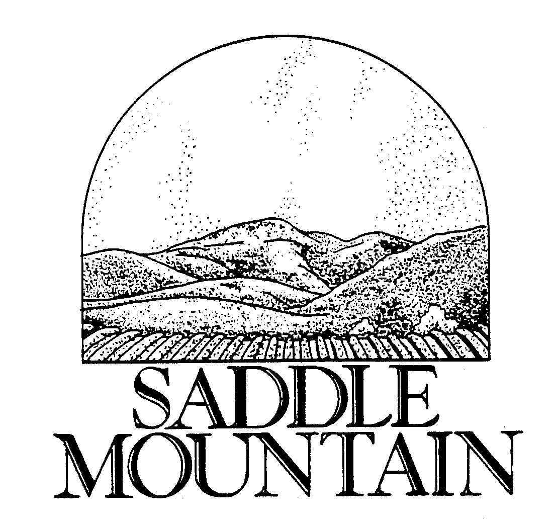 SADDLE MOUNTAIN
