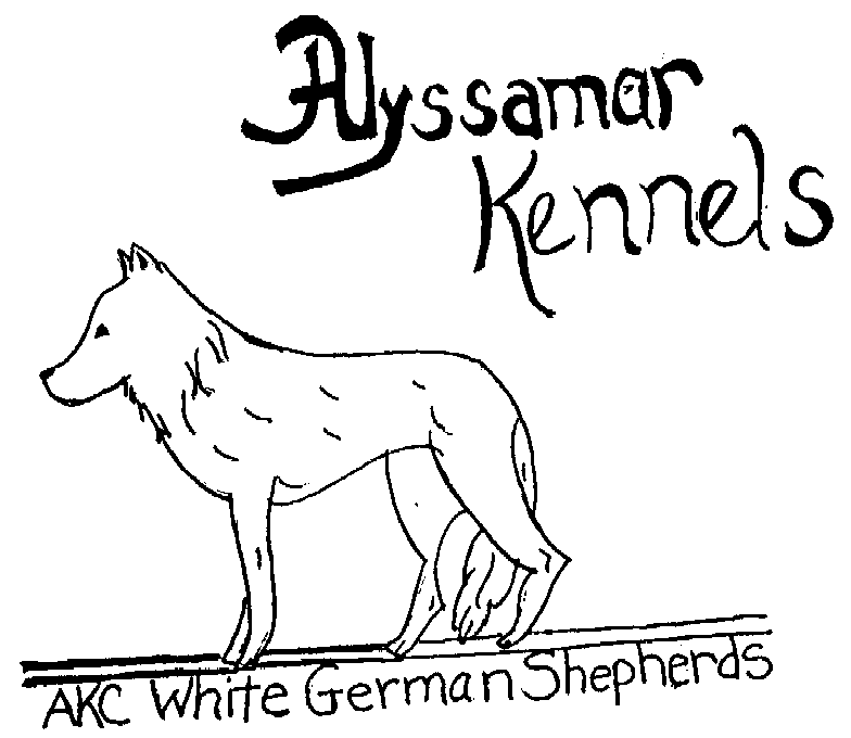  ALYSSAMAR KENNELS AKC WHITE GERMAN SHEPHERDS