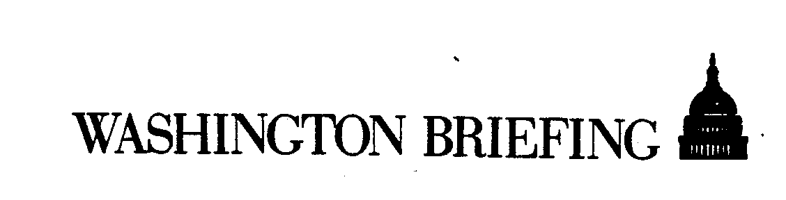 Trademark Logo WASHINGTON BRIEFING