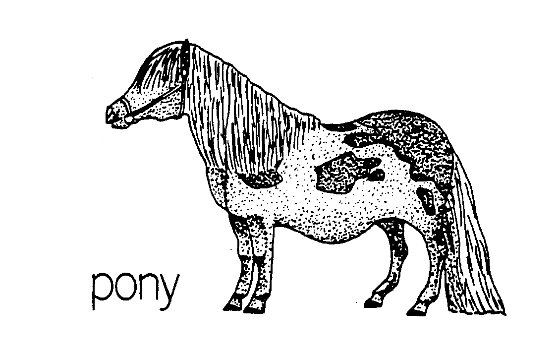  PONY