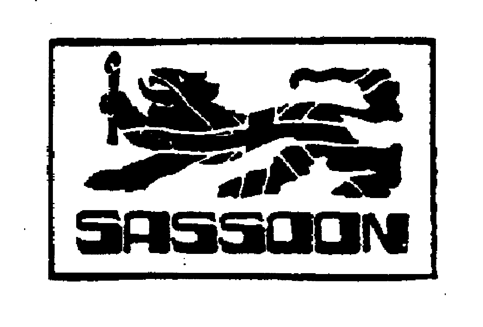 Trademark Logo SASSOON