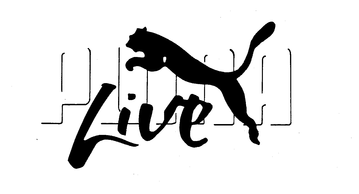  PUMA LIVE