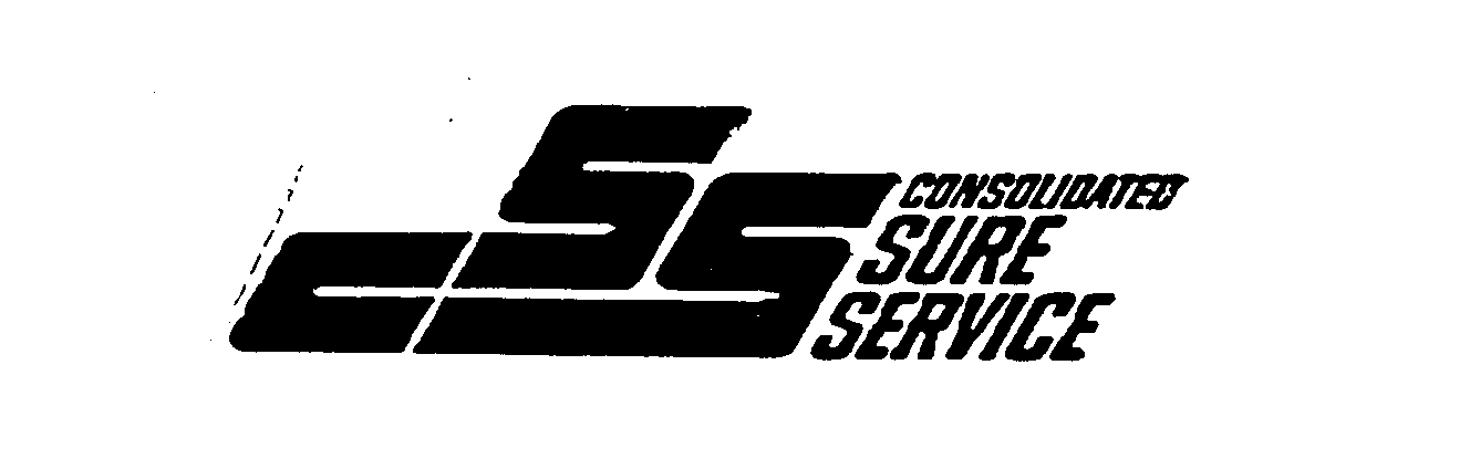  CSS CONSOLIDATED SURE SERVICE