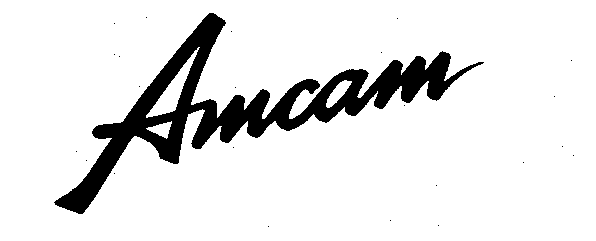 Trademark Logo AMCAM