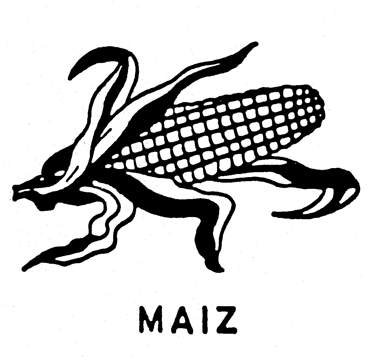 MAIZ