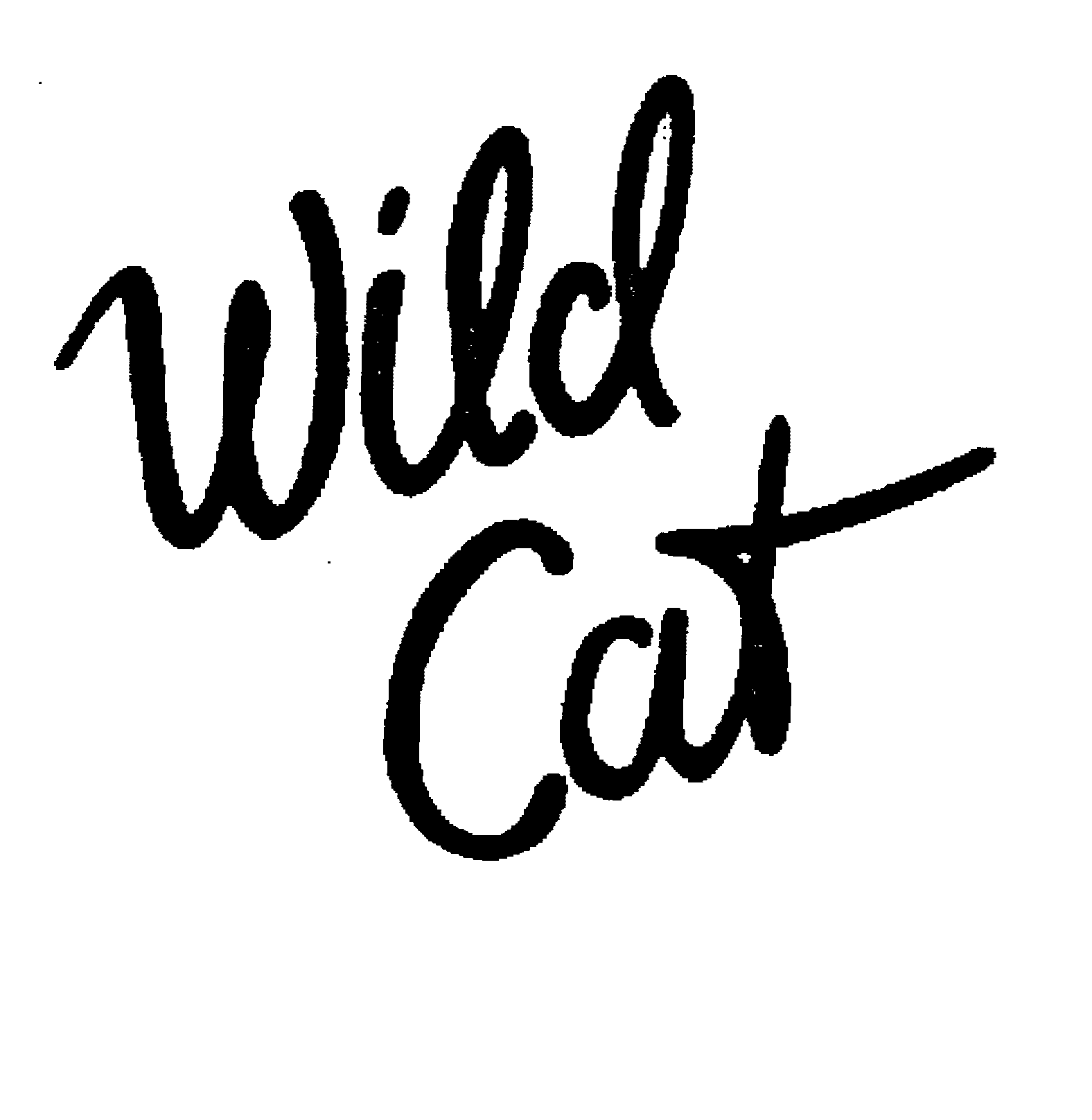 WILD CAT