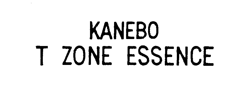  KANEBO T ZONE ESSENCE