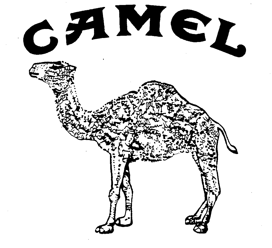 CAMEL