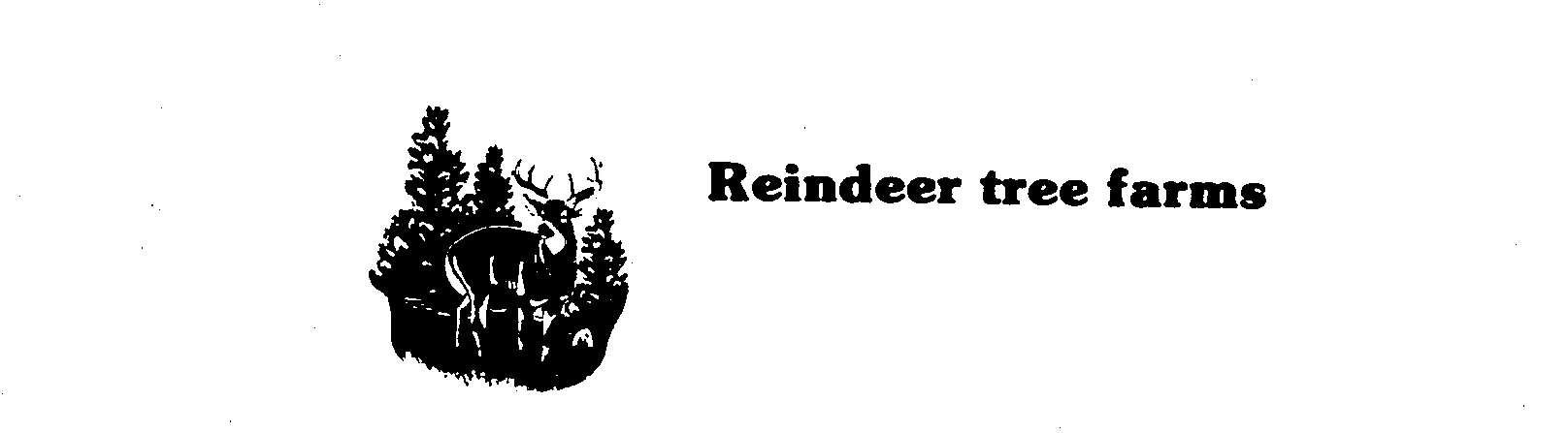  REINDEER TREE FARMS