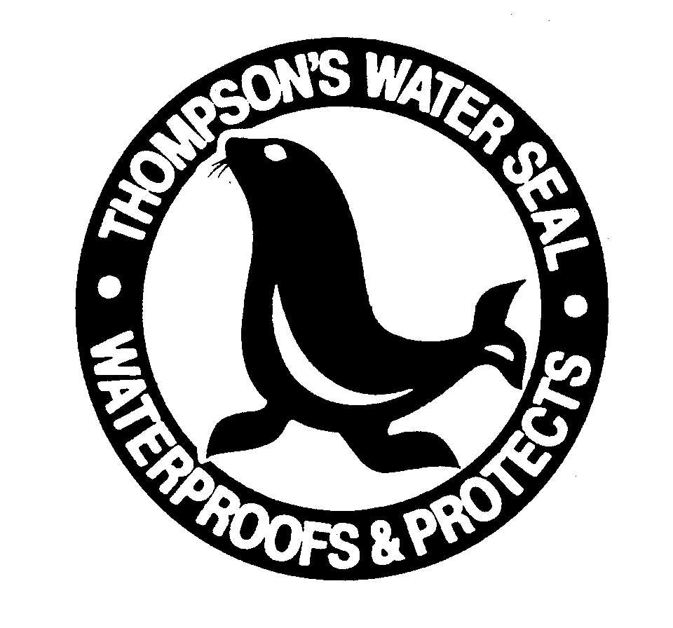  THOMPSON'S WATER SEAL WATERPROOFS &amp; PROTECTS