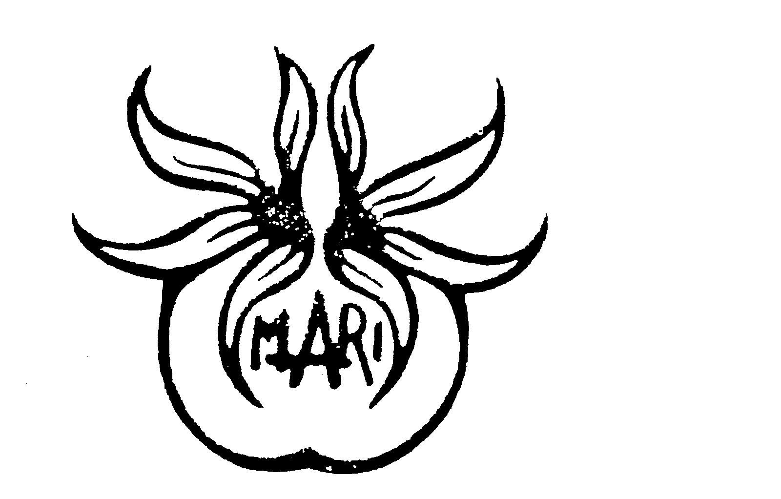 Trademark Logo MARI