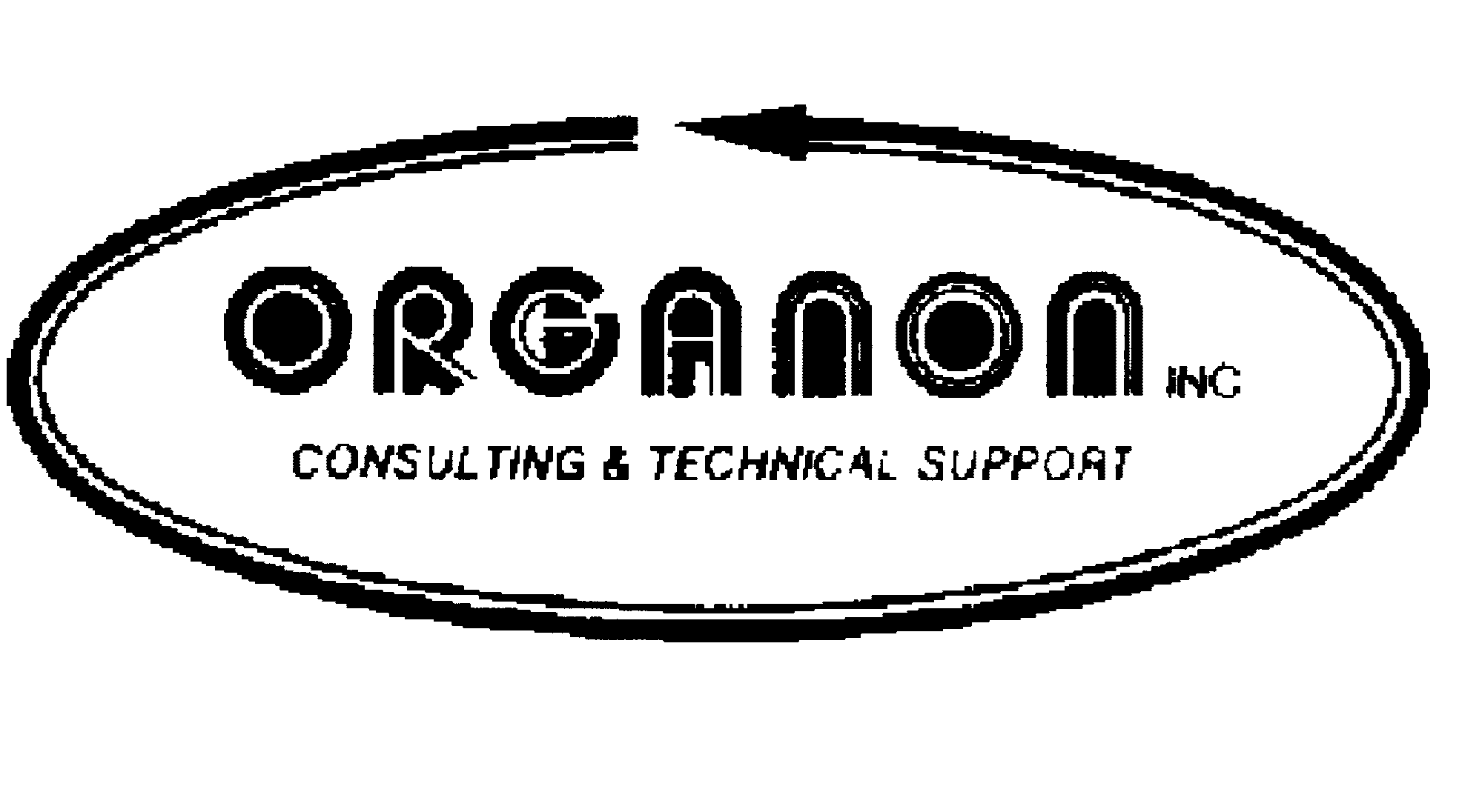  ORGANON INC. CONSULTING &amp; TECHNICAL SUPPORT