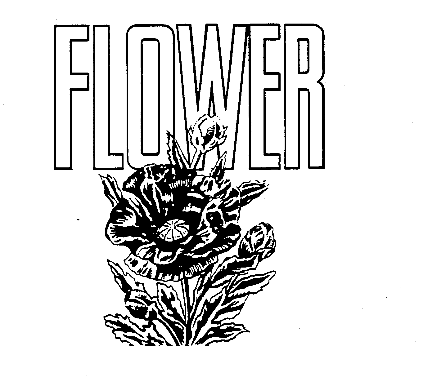 FLOWER