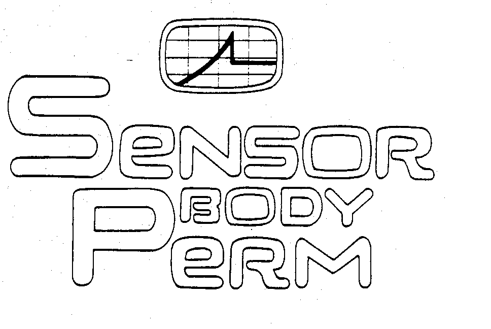  SENSOR BODY PERM