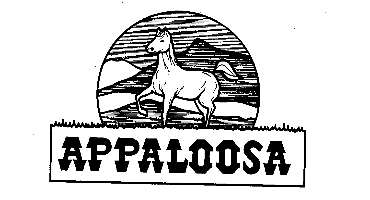 Trademark Logo APPALOOSA