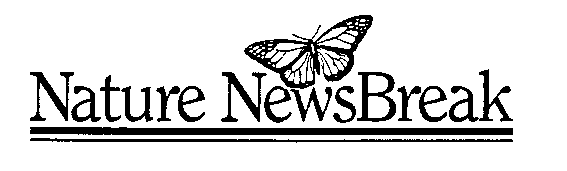Trademark Logo NATURE NEWSBREAK