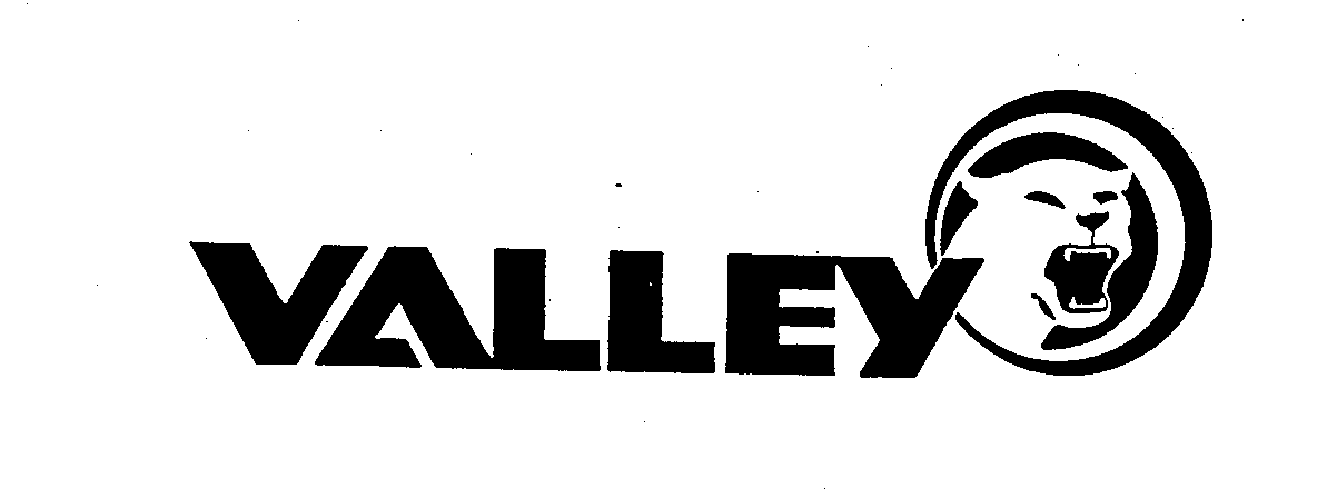 Trademark Logo VALLEY