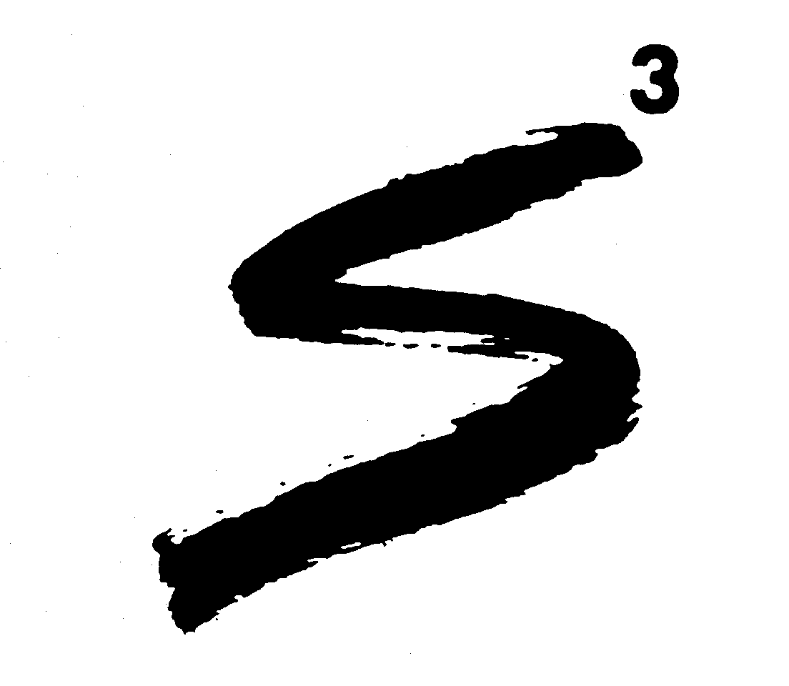  S3