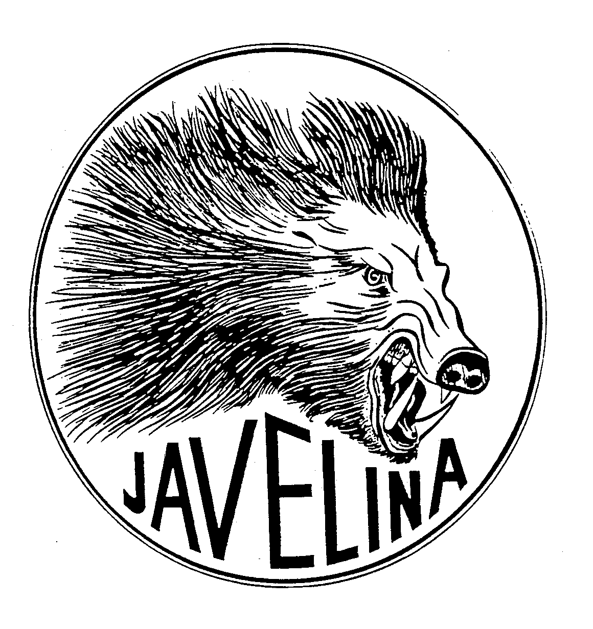 JAVELINA