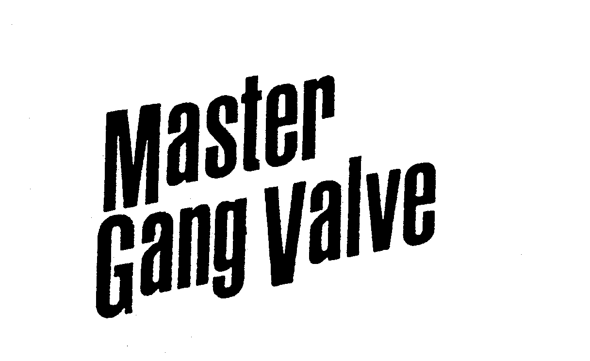  MASTER GANG VALVE