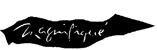 Trademark Logo MAGNIFIQUE
