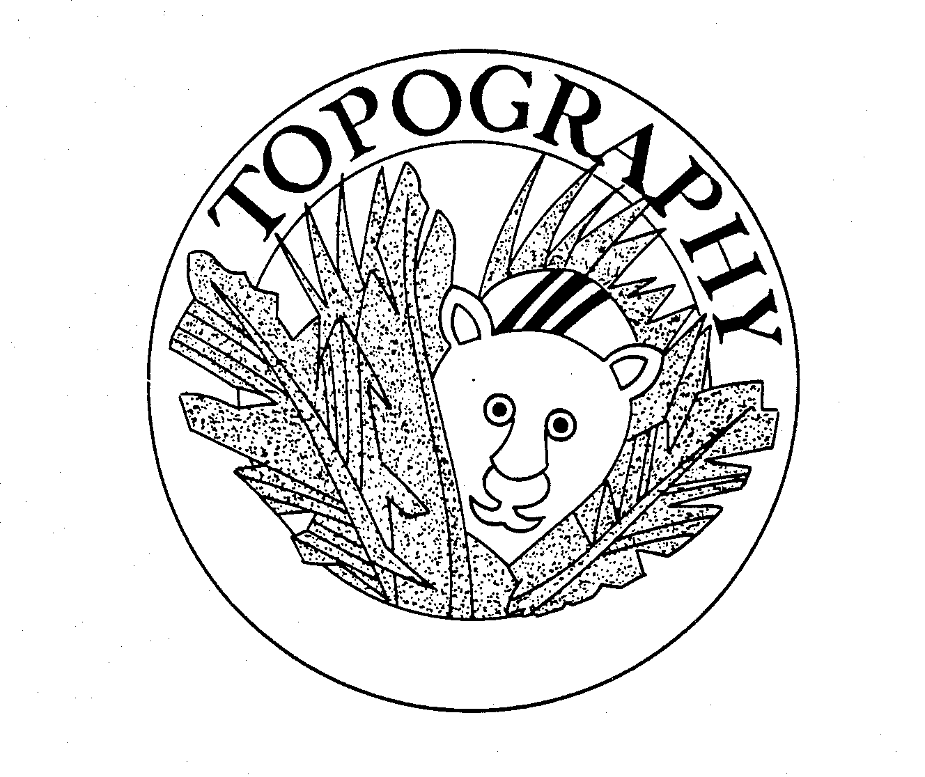 TOPOGRAPHY