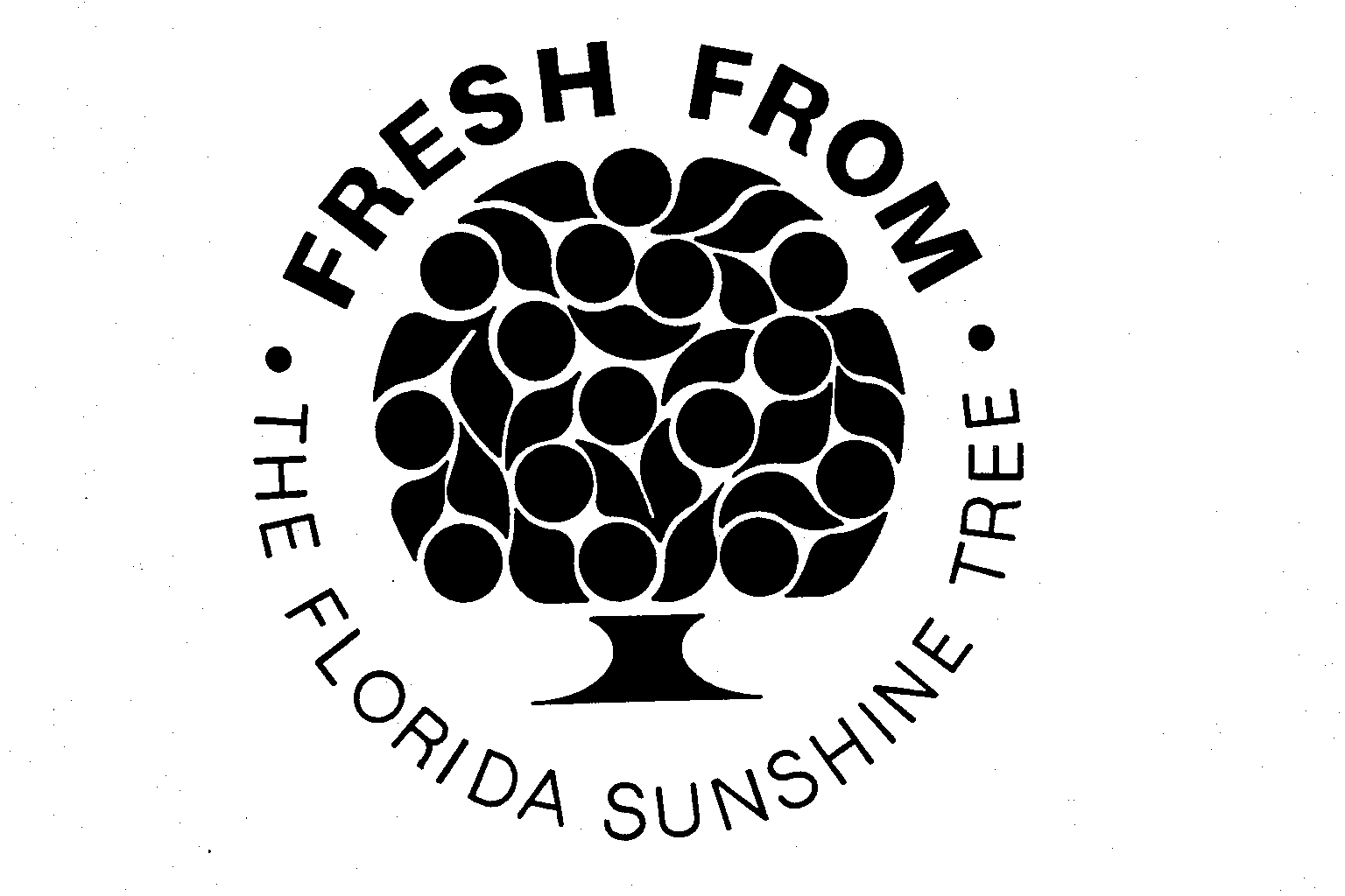  FRESH FROM THE FLORIDA SUNSHINE TREE