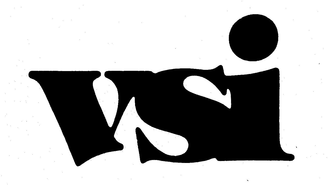 Trademark Logo VSI