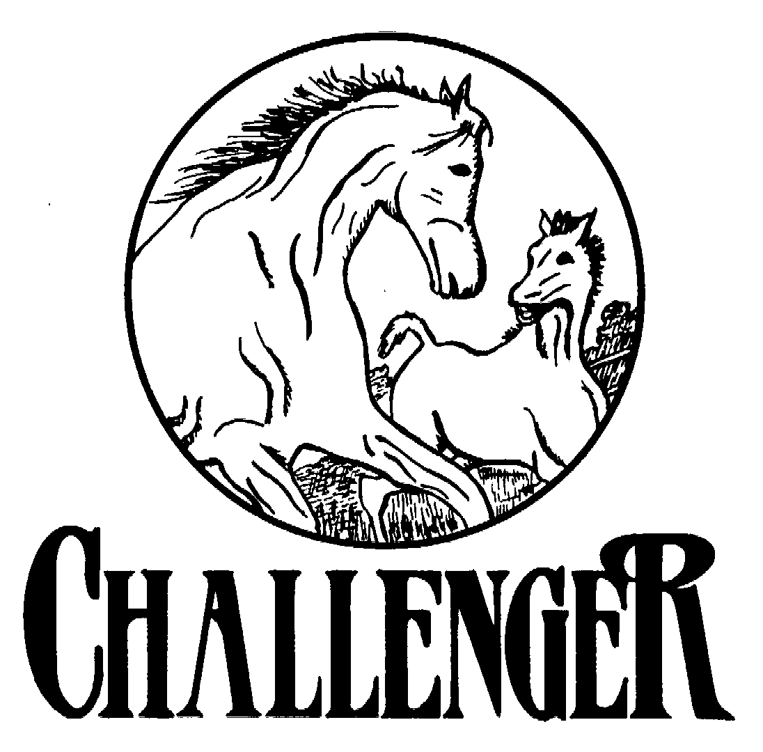 Trademark Logo CHALLENGER