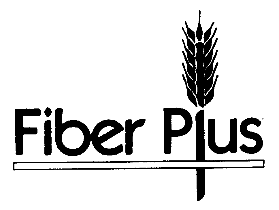 FIBER PLUS