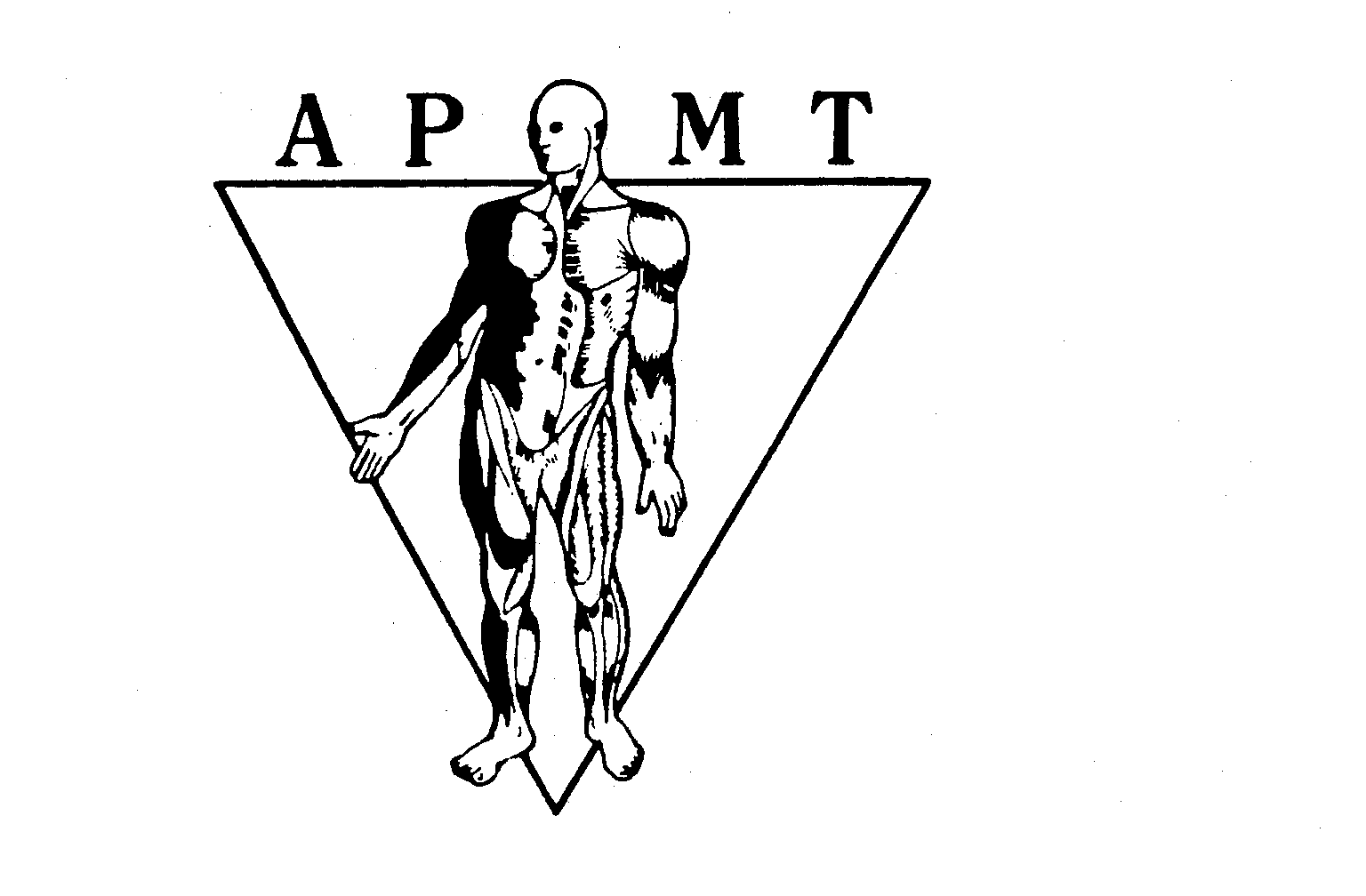 Trademark Logo APMT