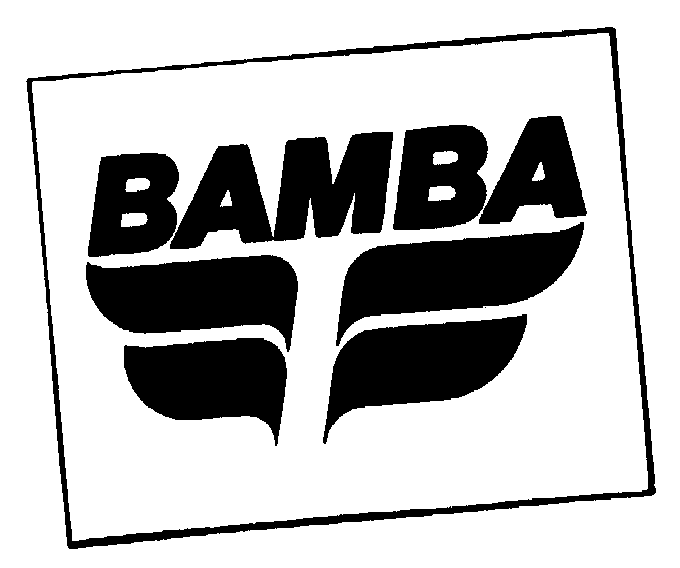  BAMBA