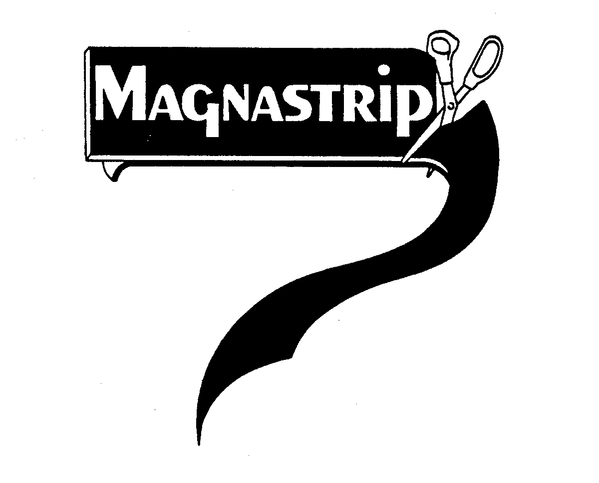  MAGNASTRIP