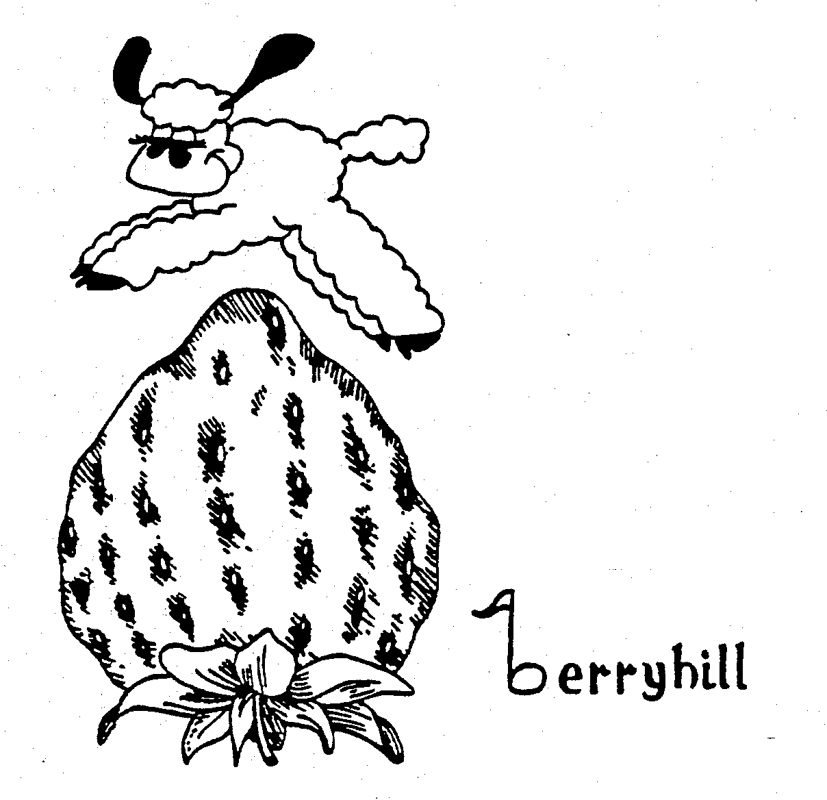 BERRYHILL
