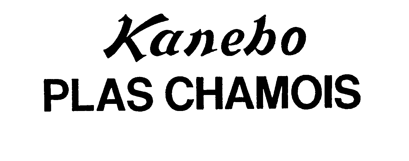  KANEBO PLAS CHAMOIS