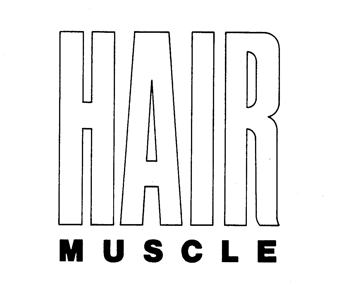 HAIR MUSCLE
