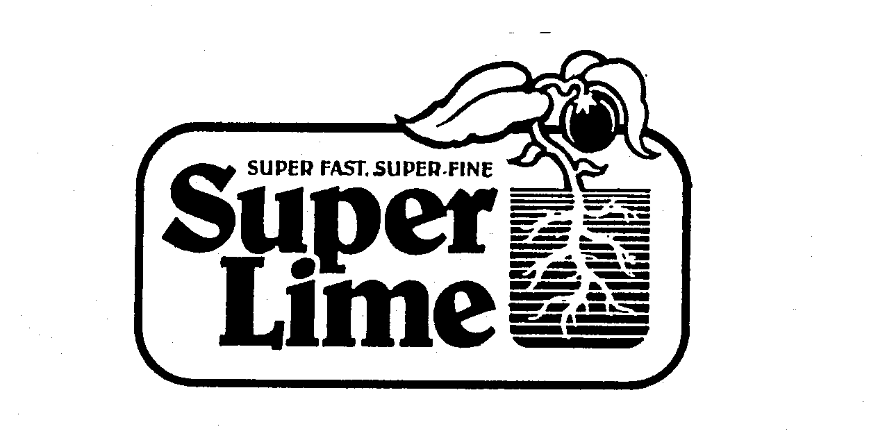  SUPER FAST, SUPER FINE SUPER LIME