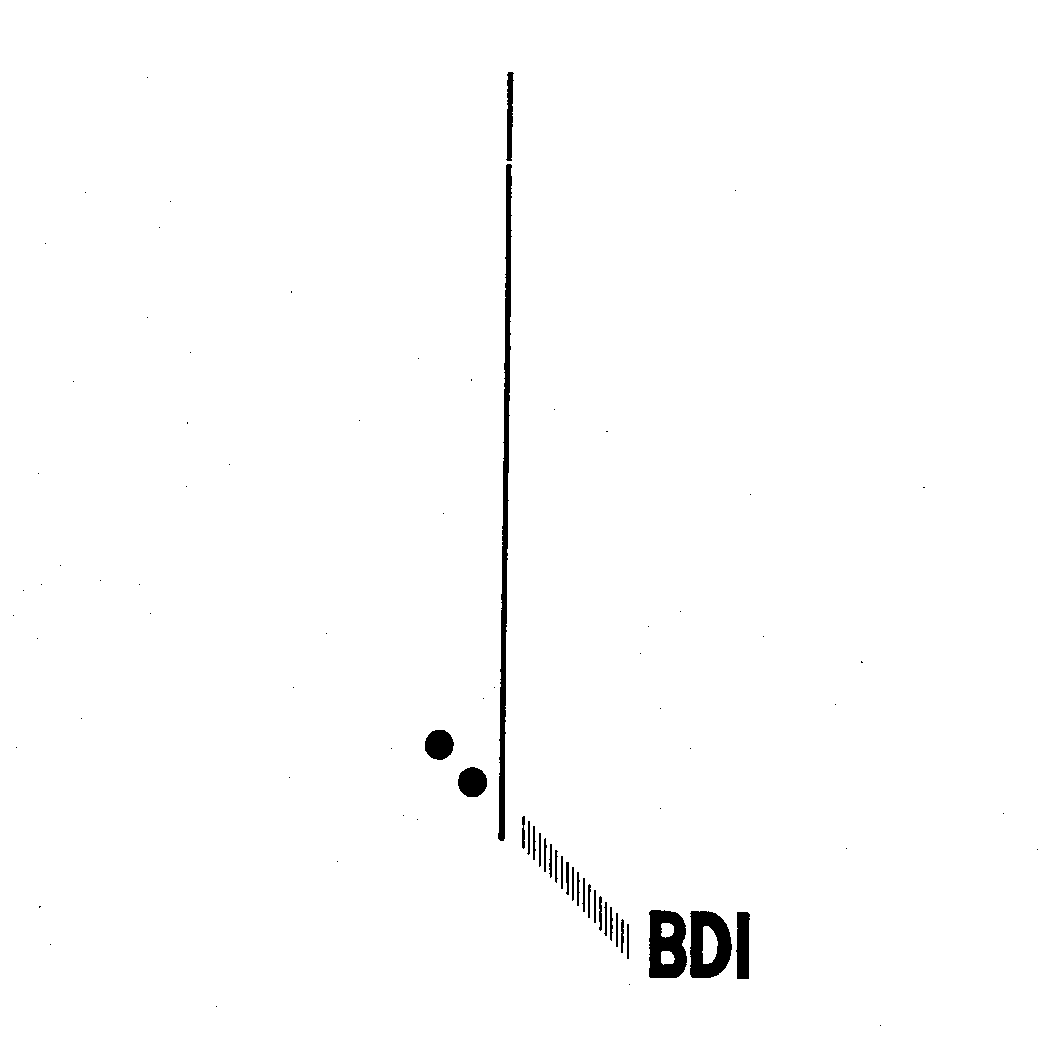  BDI