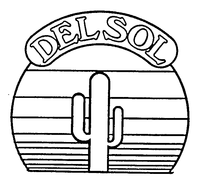 DELSOL