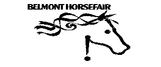  BELMONT HORSEFAIR
