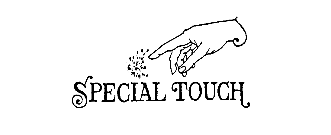 SPECIAL TOUCH