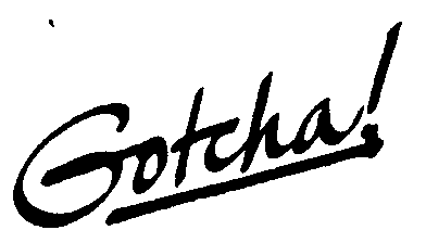 Trademark Logo GOTCHA!